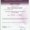 Powiększ obraz: certificate 11