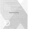 Powiększ obraz: certificate 11