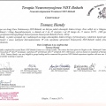 Powiększ obraz: certificate 15
