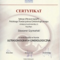 Powiększ obraz: certificate 22