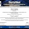 Powiększ obraz: certificate 13