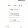 Powiększ obraz: certificate 11