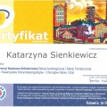 Powiększ obraz: certificate 21
