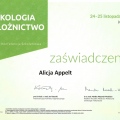 Powiększ obraz: certificate 4