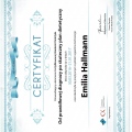 Powiększ obraz: certificate 19