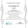 Powiększ obraz: certificate 6
