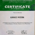 Powiększ obraz: certificate 5