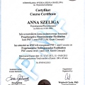 Powiększ obraz: certificate 2