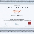 Powiększ obraz: certificate 10