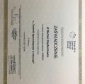 Powiększ obraz: certificate 4