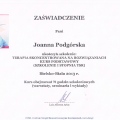 Powiększ obraz: certificate 2