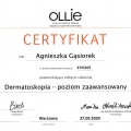 Powiększ obraz: certificate 8