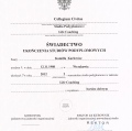 Powiększ obraz: certificate 1
