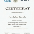 Powiększ obraz: certificate 14