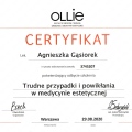 Powiększ obraz: certificate 13