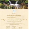 Powiększ obraz: certificate 9