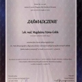 Powiększ obraz: certificate 37