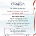 Powiększ obraz: certificate 9