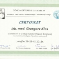 Powiększ obraz: certificate 6