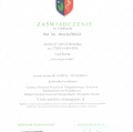 Powiększ obraz: certificate 3