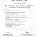 Powiększ obraz: certificate 7