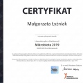 Powiększ obraz: certificate 3
