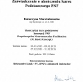 Powiększ obraz: certificate 1