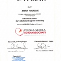 Powiększ obraz: certificate 8