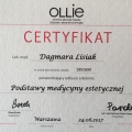 Powiększ obraz: certificate 8