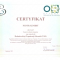 Powiększ obraz: certificate 11