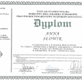 Powiększ obraz: certificate 6