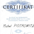 Powiększ obraz: certificate 9