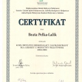 Powiększ obraz: certificate 2
