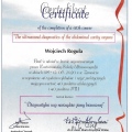 Powiększ obraz: certificate 2