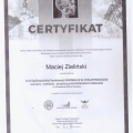 Powiększ obraz: certificate 11