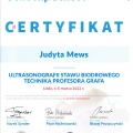 Powiększ obraz: certificate 3