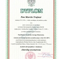 Powiększ obraz: certificate 2