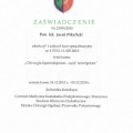 Powiększ obraz: certificate 4