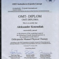 Powiększ obraz: certificate 9