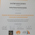 Powiększ obraz: certificate 7
