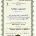 Powiększ obraz: certificate 15