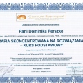 Powiększ obraz: certificate 4