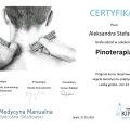 Powiększ obraz: certificate 14