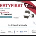 Powiększ obraz: certificate 12
