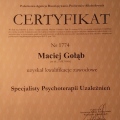Powiększ obraz: certificate 6