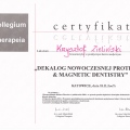 Powiększ obraz: certificate 8