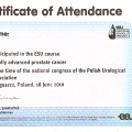 Powiększ obraz: certificate 51