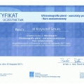 Powiększ obraz: certificate 3