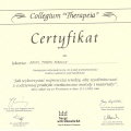Powiększ obraz: certificate 11