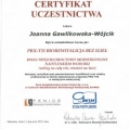 Powiększ obraz: certificate 24